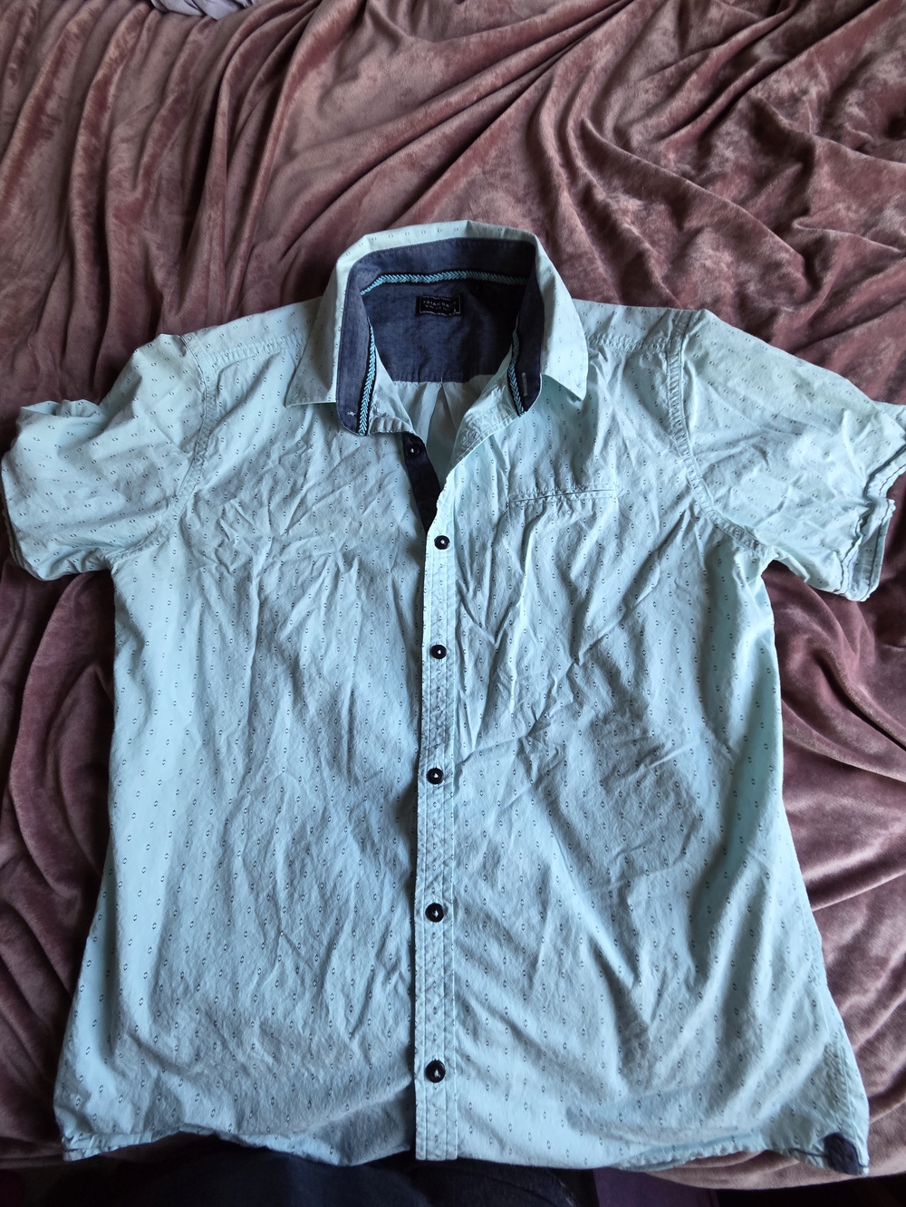 7 Diamonds Men's Short-Sleeve Button-Down Shirt in Light Mint with Dark Trim